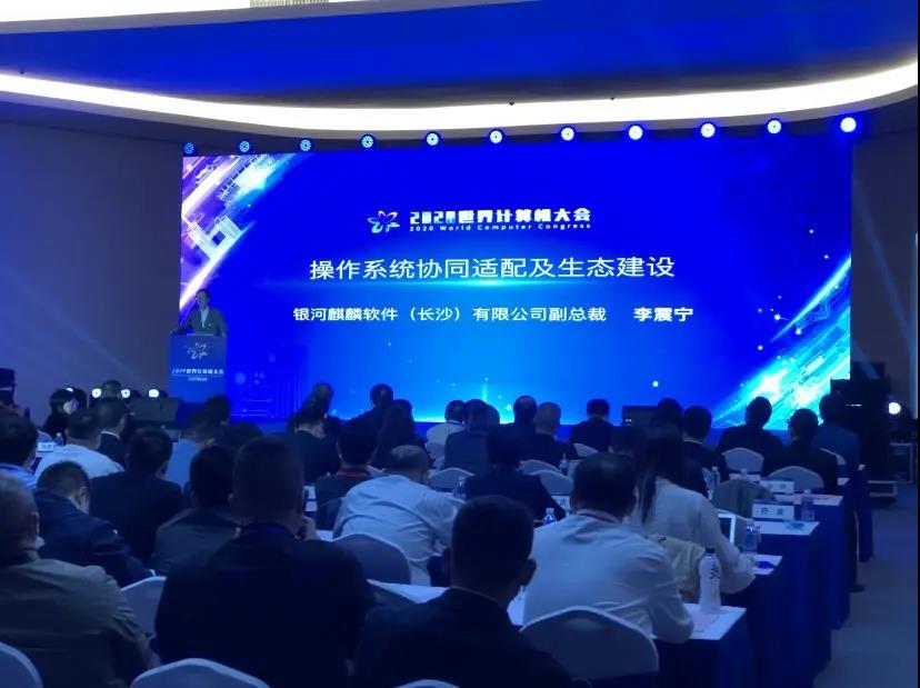 中国算力逆袭：生态大局观推动国产服务器“腾飞”(图1)